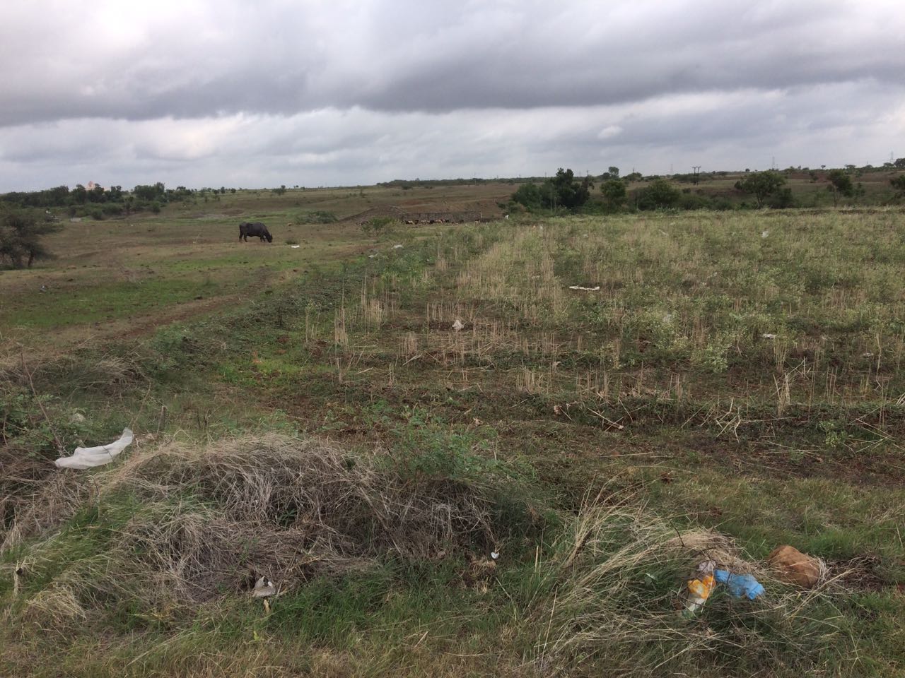 School / Hospital Reservation Plot At Nibm Anexe